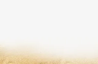 沙滩免抠素材免抠