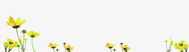 黄色小花美景手绘春天免抠
