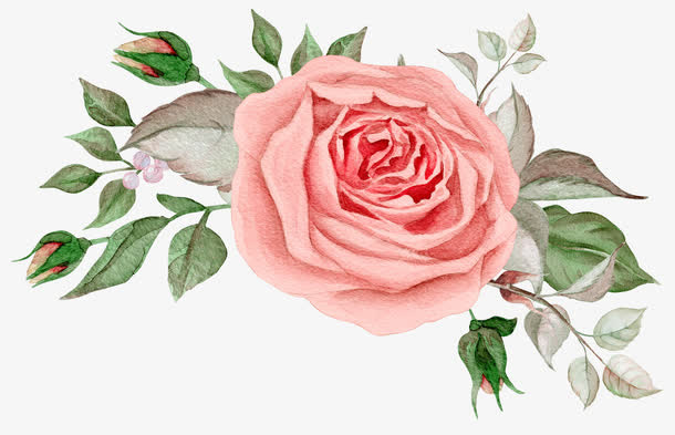 鲜花和叶子免抠