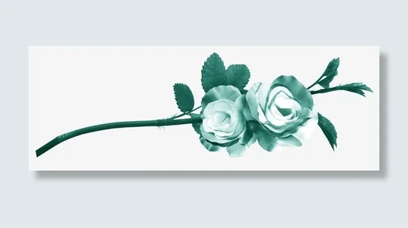 手绘装饰花免抠