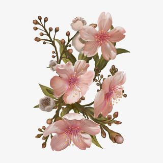 粉色桃花植物矢量图免抠