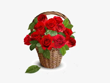 玫瑰花篮免抠