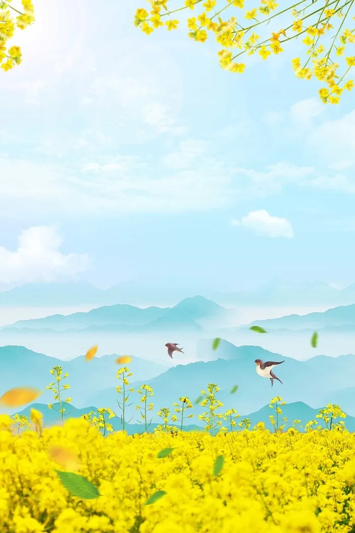 小清新春天你好油菜花风景插画高清卡通手绘背景