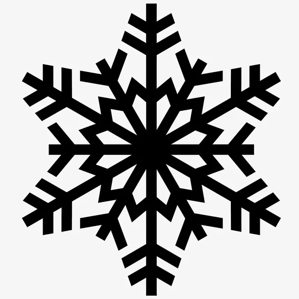 种类五雪花素材免抠