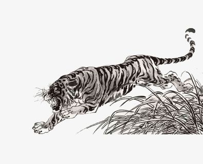 咆哮的老虎免抠