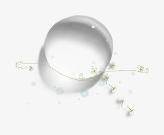 透明水珠和绿色小花免抠