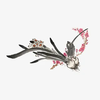 国画水仙花免抠