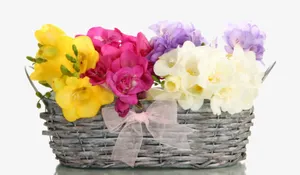 一筐鲜花免抠