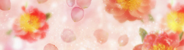 唯美花瓣淘宝女装banner