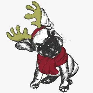 卡通圣诞节斗牛犬免抠