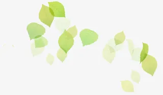 绿叶树叶漂浮素材免抠