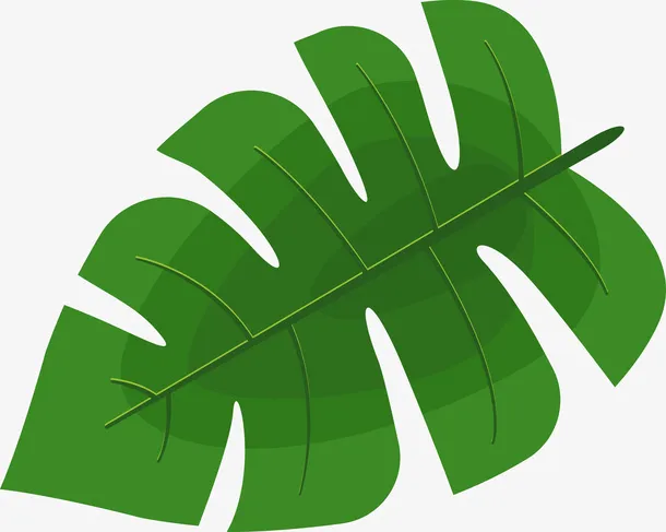 绿色棕榈叶植物图免抠