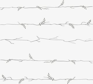 绿色树藤框架免抠