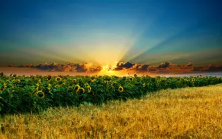 自然风景背景图 42