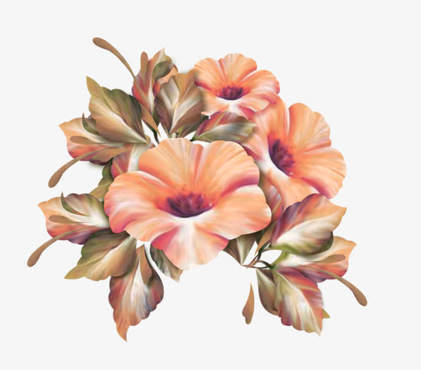 美丽的花朵免抠