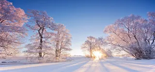 风景背景图高清