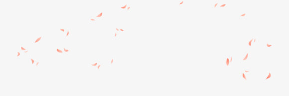 花瓣免抠