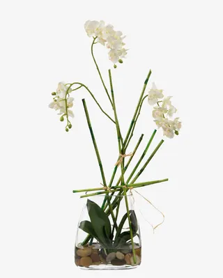 艺术造型 插花花艺免抠