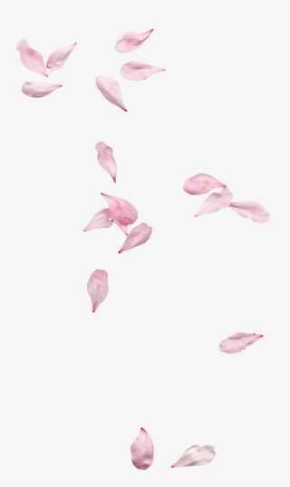 古风飘落花瓣3免抠