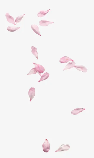 古风飘落花瓣3免抠