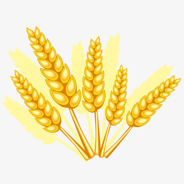 收获的季节免抠