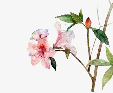 红花绿色树枝樱花树免抠