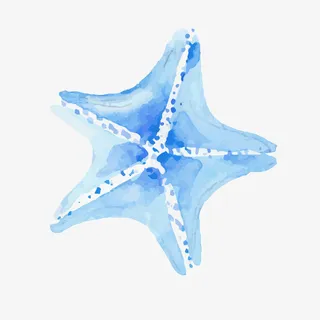 水彩绘蓝色海星矢量图免抠