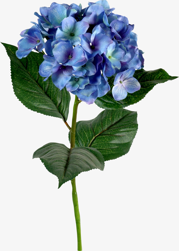 花卉免抠