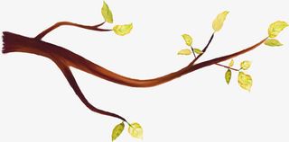 棕黑色树枝浅绿色初春树叶免抠