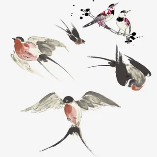 春燕飞枝头免抠