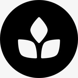 植物叶片的按钮图标免抠