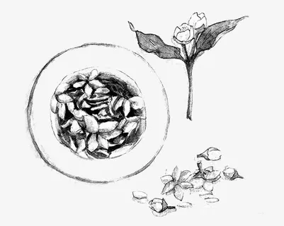 茉莉花茶免抠
