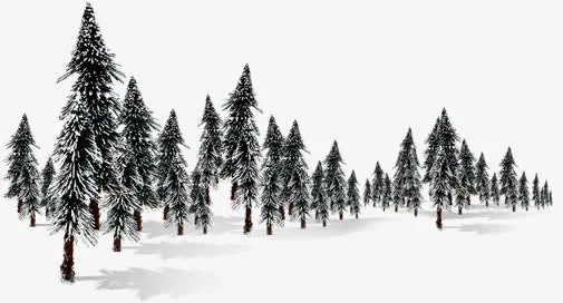 冬日雪地松树装扮免抠