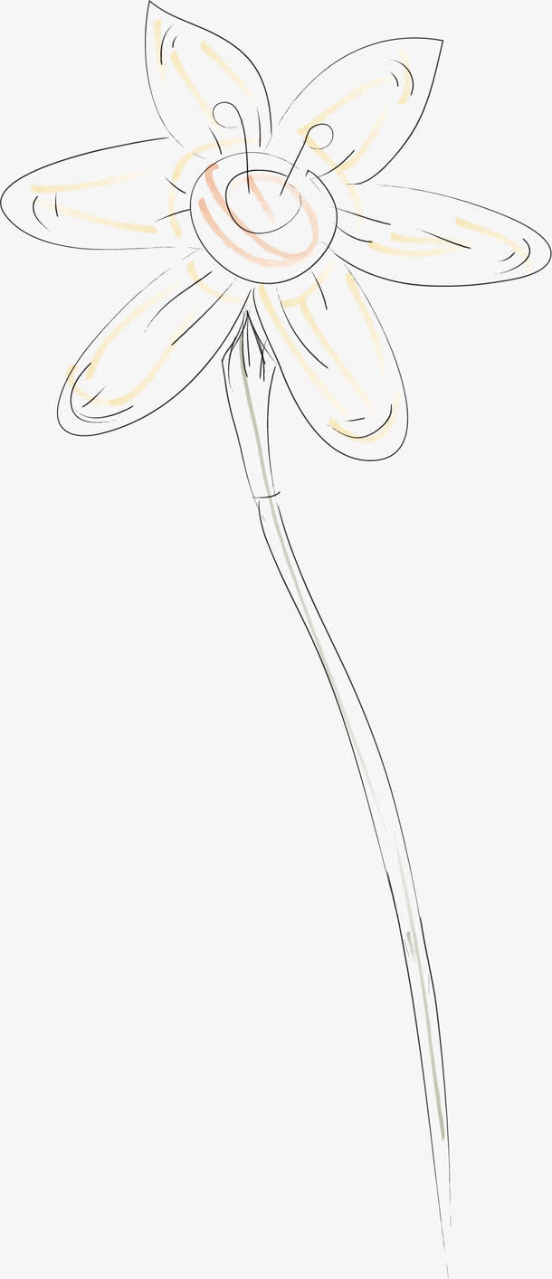 水彩画牵牛花矢量图免抠