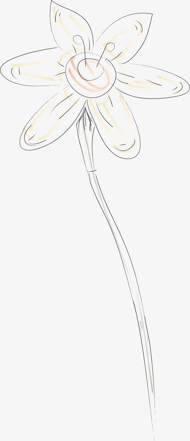 水彩画牵牛花矢量图免抠