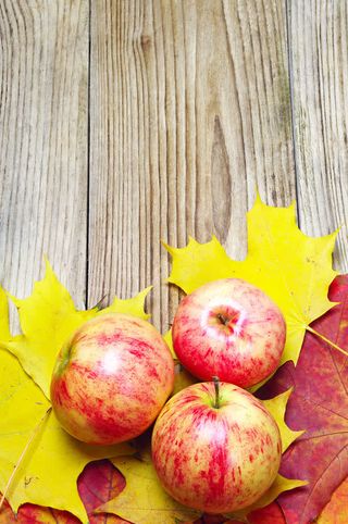 木头上的枫叶跟苹果免抠