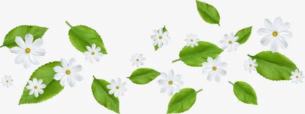 花叶免抠
