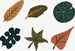 卡通叶子合集矢量免抠