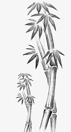 端午节效果元素水墨翠竹素描免抠