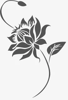 矢量花卉剪影花朵免抠