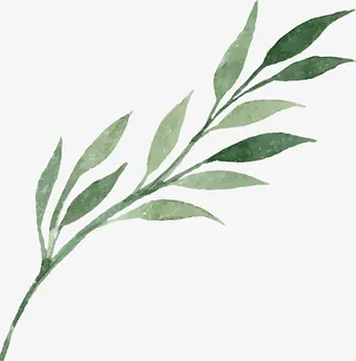 手绘水彩夏季植物树枝矢量素材免抠手绘/卡通手绘元素