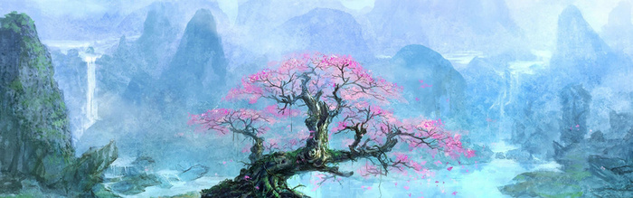 摄影背景高清