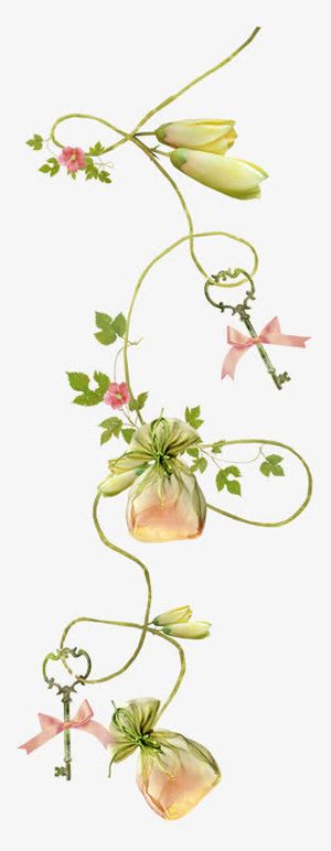 弯曲花枝绿叶花瓣png素材免抠