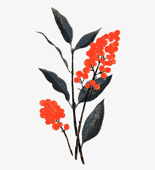 手绘植物免抠