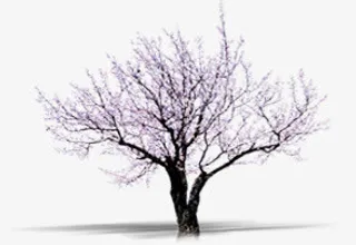 红色桃花高清合成效果免抠