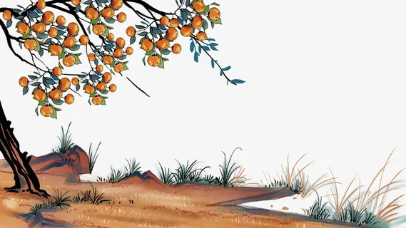 霜降节气柿子树草地元素免抠