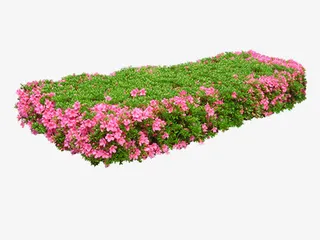 清新花卉园林设计元素免抠