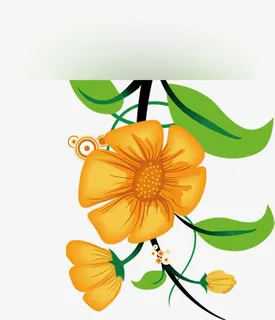 春天手绘黄色花朵免抠