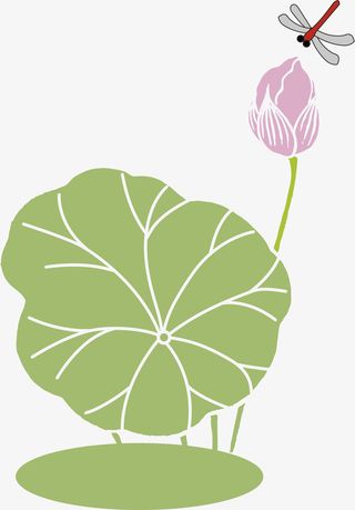 卡通端午节荷叶装饰插画免抠