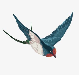 春天清明节展翅飞燕免抠